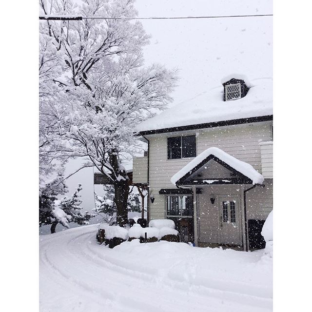先日2日間降り続いた雪で...☃️☃️☃️☃️ B.B.Dylanの周りは真っ白に️☃️ #琵琶湖 #ペンション #雪#滋賀県#びわ湖バレイ #omimaiko#snow#snowboard#スノボー#gesthouse